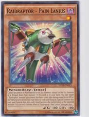 Raidraptor - Pain Lanius - SHVI-EN015 - Common - Unlimited Edition